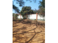 1-acre-plot-for-sale-in-ibex-hill-small-5