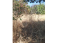 1-acre-plot-for-sale-in-ibex-hill-small-4
