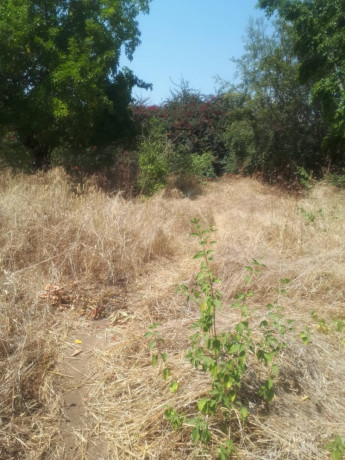 1-acre-plot-for-sale-in-ibex-hill-big-6