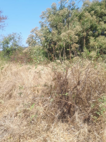 1-acre-plot-for-sale-in-ibex-hill-big-3