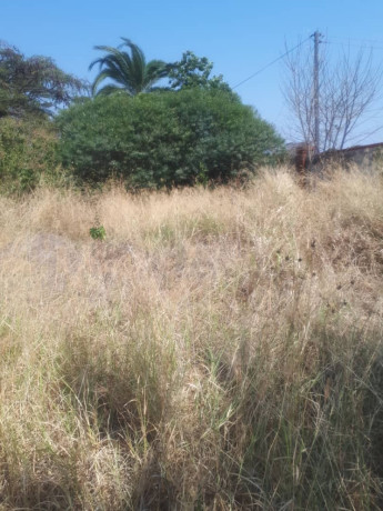 1-acre-plot-for-sale-in-ibex-hill-big-2