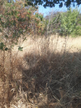 1-acre-plot-for-sale-in-ibex-hill-big-4