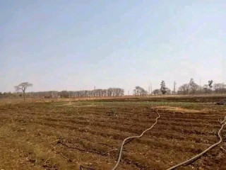 land-for-sale-in-makeni-konga