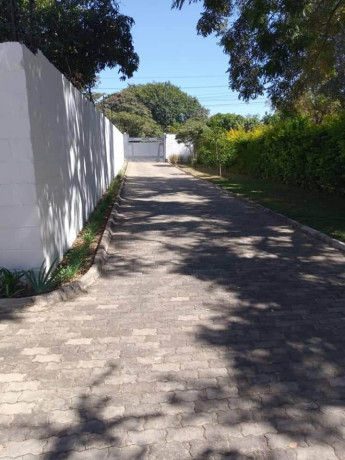 3-bedroom-house-for-rent-in-longacres-big-4