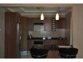 2-bedroom-furnished-apartment-for-rent-in-avondale-small-8