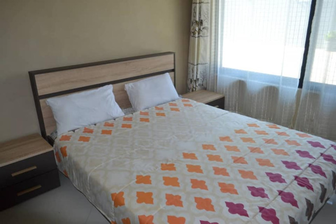 2-bedroom-furnished-apartment-for-rent-in-avondale-big-3