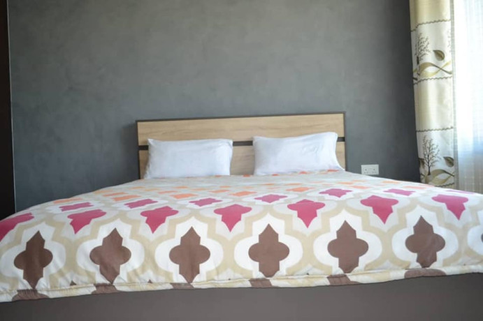 2-bedroom-furnished-apartment-for-rent-in-avondale-big-4