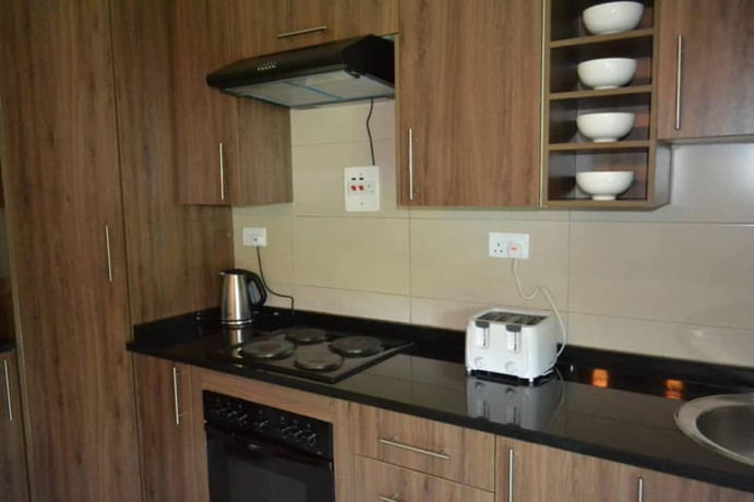 2-bedroom-furnished-apartment-for-rent-in-avondale-big-9