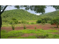 residential-plots-for-sale-in-shimabala-small-3