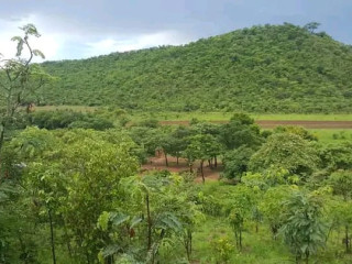 residential-plots-for-sale-in-shimabala