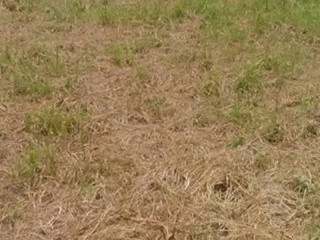 plot-for-sale-in-dola-hill