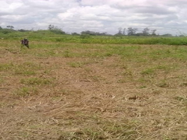 plot-for-sale-in-dola-hill-big-2