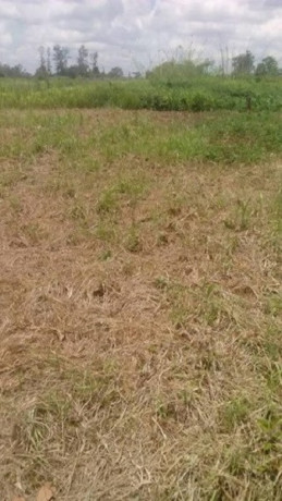 plot-for-sale-in-dola-hill-big-1