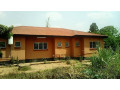 urban-home-for-sale-in-solwezi-small-6