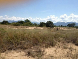 11-acres-of-land-for-sale-in-lower-zambezi