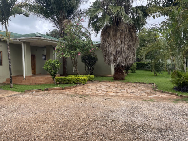 3-bedroom-house-for-rent-in-new-kasama-big-6