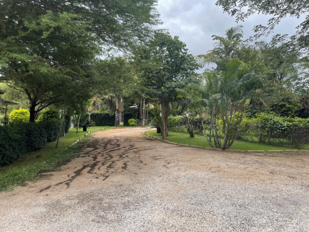 3-bedroom-house-for-rent-in-new-kasama-big-1