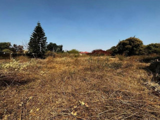 plot-for-sale-in-ibex-hill