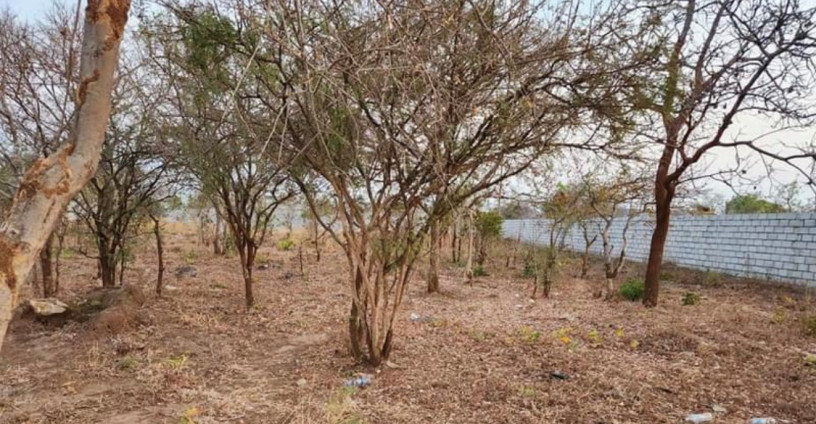 plot-for-sale-in-ibex-meanwood-big-1