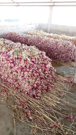 100-hectares-farm-for-sale-along-mumba-road-big-3