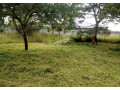 plot-for-sale-in-new-kasama-small-1