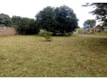plot-for-sale-in-new-kasama-small-0