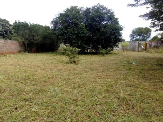 plot-for-sale-in-new-kasama