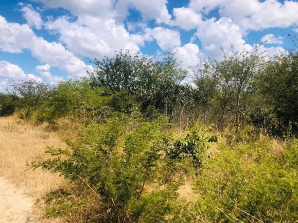 plot-for-sale-in-chalala-big-1