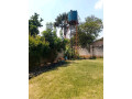 3-bedroom-standalone-house-for-rent-in-chelston-small-2