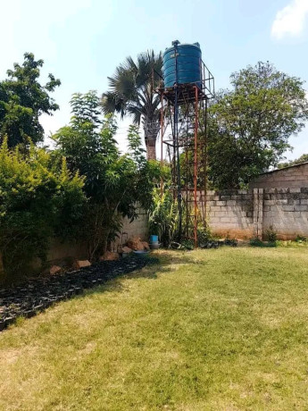 3-bedroom-standalone-house-for-rent-in-chelston-big-2