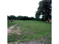 10-hectares-for-sale-in-kasisi-small-0