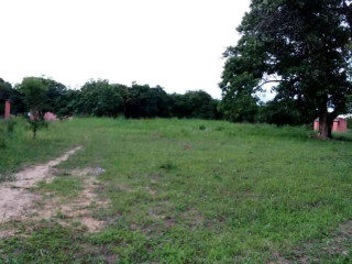 10-hectares-for-sale-in-kasisi