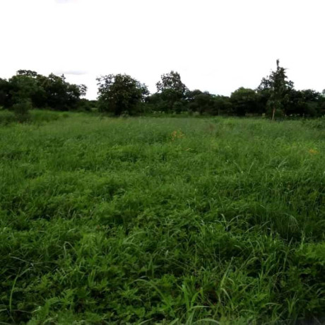 10-hectares-for-sale-in-kasisi-big-2