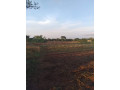 5-acre-plot-for-sale-in-ibex-hill-small-3