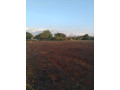 5-acre-plot-for-sale-in-ibex-hill-small-4
