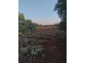5-acre-plot-for-sale-in-ibex-hill-small-2