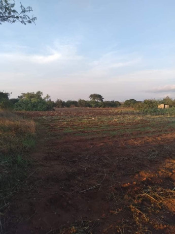 5-acre-plot-for-sale-in-ibex-hill-big-3