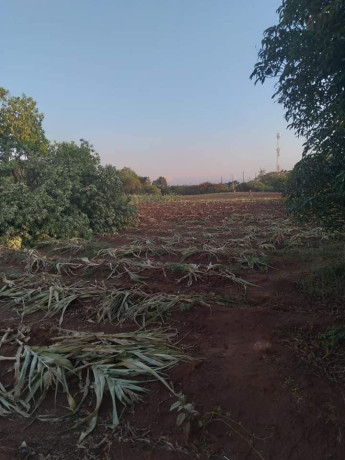 5-acre-plot-for-sale-in-ibex-hill-big-2