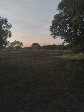 5-acre-plot-for-sale-in-ibex-hill-big-5