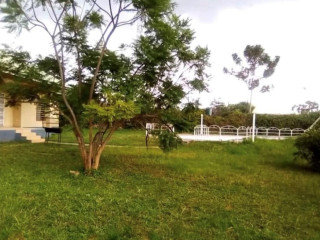 3-bedroom-house-for-rent-in-foxdale