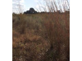 47-hectare-land-for-sale-in-kapiri-mposhi-small-1