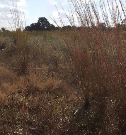 47-hectare-land-for-sale-in-kapiri-mposhi-big-1