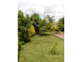 4-bedroom-house-for-rent-in-chamba-valley-small-5