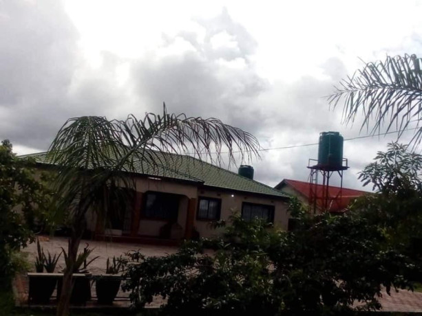 4-bedroom-house-for-rent-in-chamba-valley-big-4