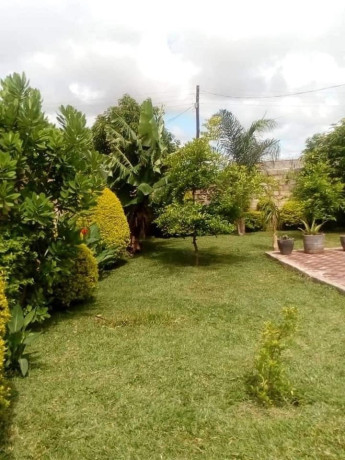 4-bedroom-house-for-rent-in-chamba-valley-big-5