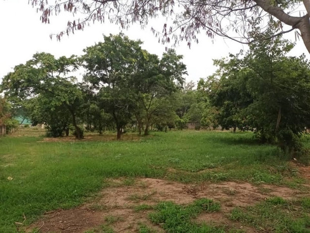 8094-sqm-plot-for-sale-in-roma-big-1