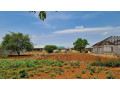plot-for-sale-in-chalala-small-1