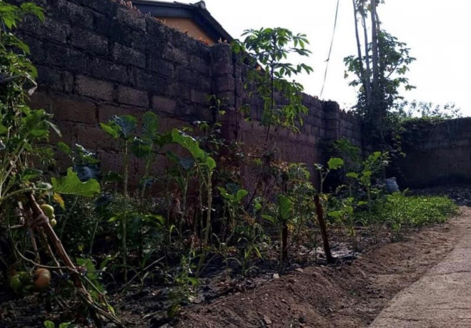 3-bedroom-house-for-sale-in-kabwata-big-8