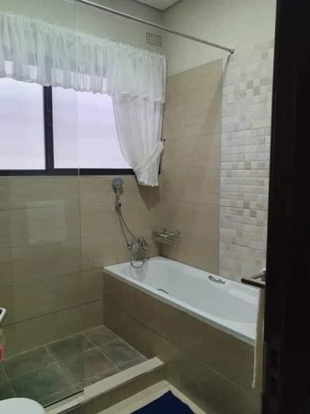 2-bedroom-apartment-for-rent-in-roma-park-big-7