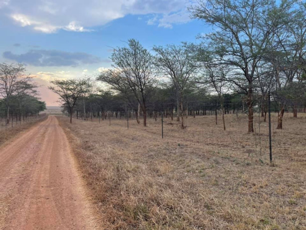 5-acres-land-for-sale-in-lilayi-big-4